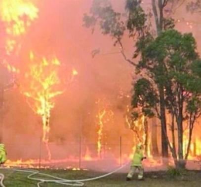 حرائق استراليا