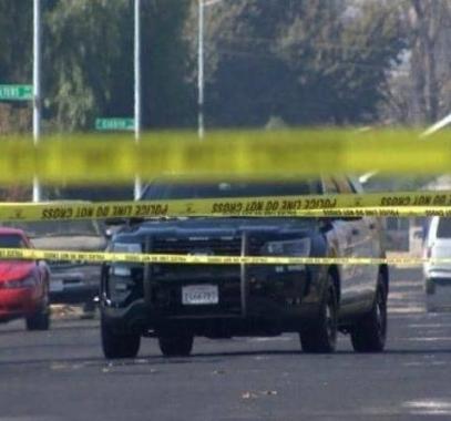 كاليفورنيا: مباراة كرة بحديقة 