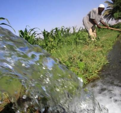 البنك الدولي: يقدم كافة المساعدات 