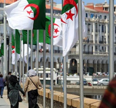 الجزائر:  تكشف 