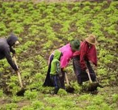 المغرب: خطط ضخمة لـ