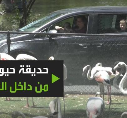 شاهدوا: حديقة حيوانات تستقبل الزوار وهم بسياراتهم