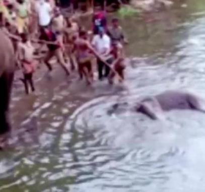 شاهدوا: حاولت الحصول على 