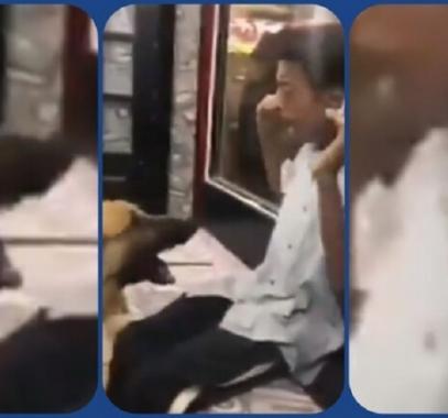 بالفيديو: حبس متهمين اثنين اعتديا على شخص من ذوي الاحتياجات الخاصة في مصر