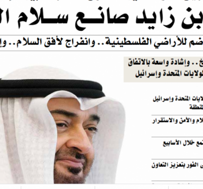 محمد بن زايد