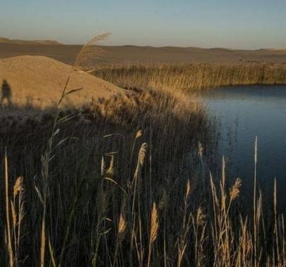 الرئيس المصري: يستعرض خطة تطوير 