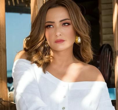 بشرى في مسلسل الاختيار 2