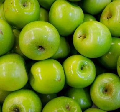 شاهدوا: بالصدفة.. العثور على 