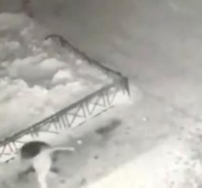 سقوط طفلة على كومة ثلج