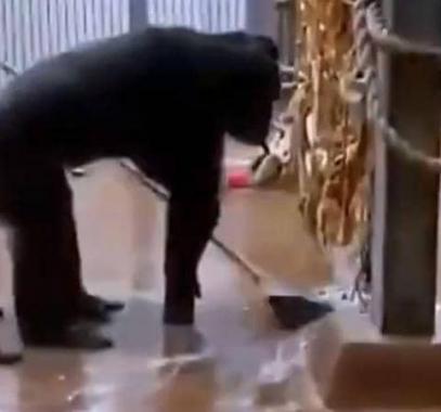 بالفيديو: مشهد مذهل 