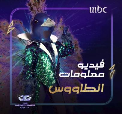 من هو شخصية الطاووس في برنامج انت مين the masked singer ؟