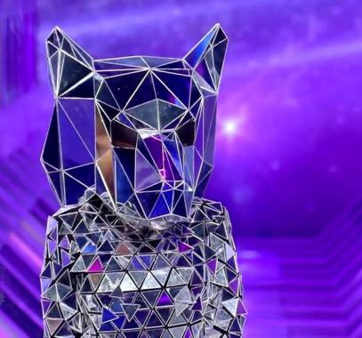 من هي شخصية الذئب في برنامج انت مين the masked singer ؟