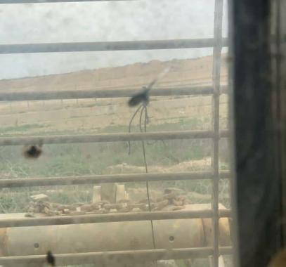 شاهد: إطلاق نار صوب قوة 