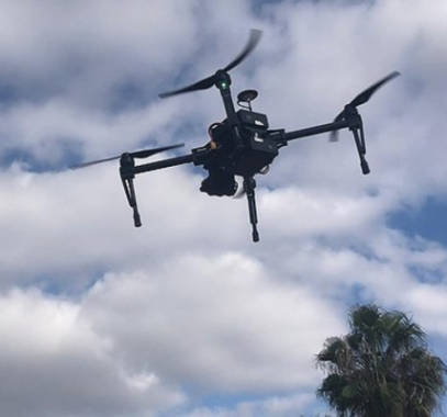 حوامة صغيرة