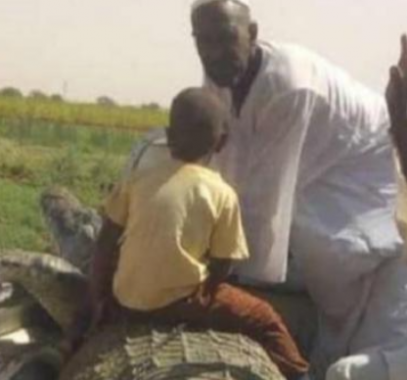 مزارع سودانى يصطاد تمساح ضخم طوله 5 أمتار.. طارده لمدة 21 يوم