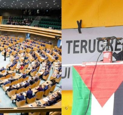 نائبة هولندية.