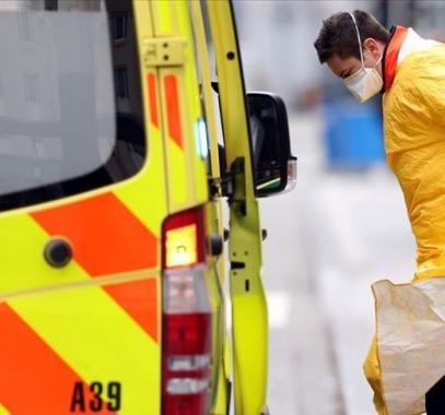 كورونا بلجيكا