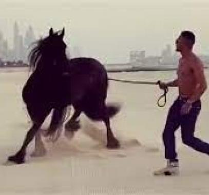 بعد النمر.. محمد رمضان يدرب الخيل في دبي