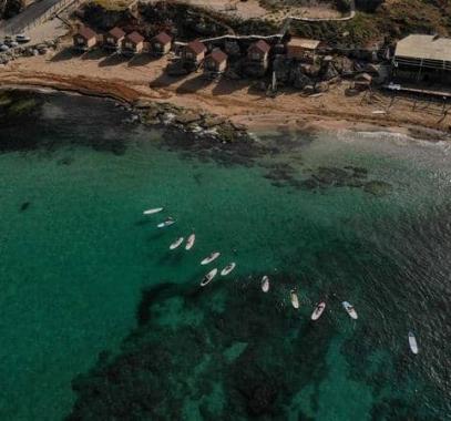 لبنان | هل تناول الأسماك في آمن؟