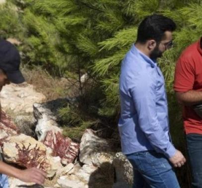 الإعلام العبري: فلسطينيون يعثرون على سجل لعمليات الجيش بالقدس