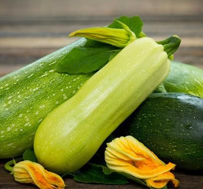 فوائد الكوسا للنساء