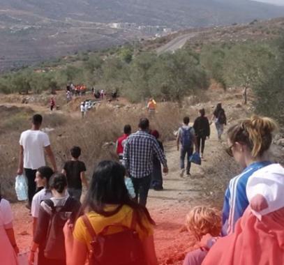 يوم عمل تطوعي لقطف ثمار الزيتون على أراضي قرية اسكاكا في سلفيت