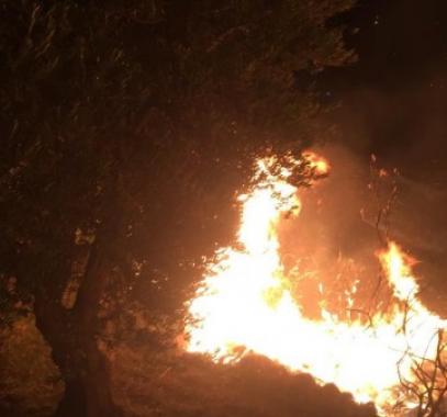 اندلاع حريق