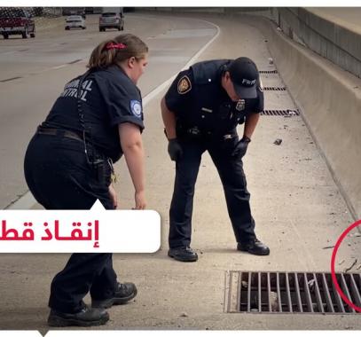 فيديو.. إنقاذ قطة على الطريق السريع