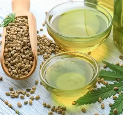 زيت القنب سلاحك السري للبشرة