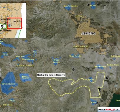 حركة مناهضة للاستيطان تكشف هدف إعلان أراضي الضفة الغربية كـ