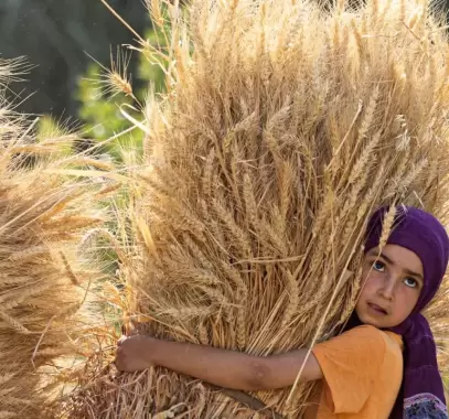 فاتورة واردات مصر ترتفع 4.5 مليار دولار شهريا