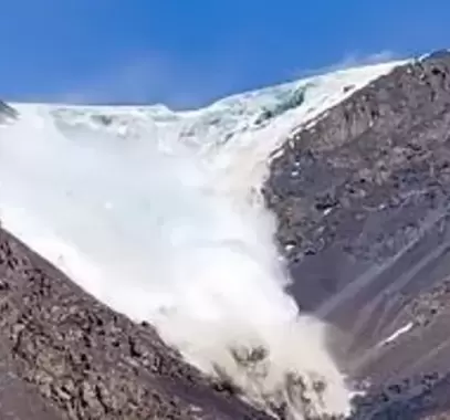 بالفيديو : 