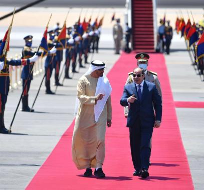 تفاصيل لقاء رئيس دولة الإمارات مع نظيره المصري