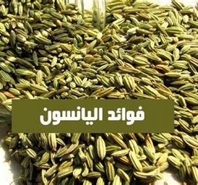9 من أهم فوائد اليانسون الصحية ومحاذير استخدامه