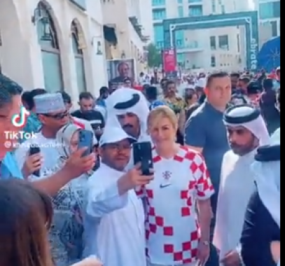 لقطة الشاشة 2022-11-29 115335.png