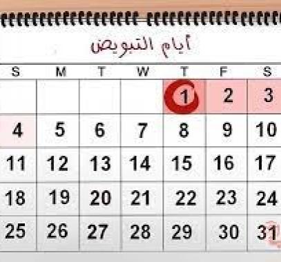 الحمل بولد