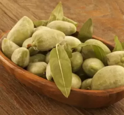 فوائد اللوز الاخضر الصحية والعلاجية
