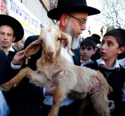 ذبح القرابين