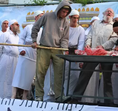 ذبح القرابين داخل الأقصى