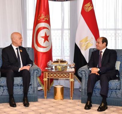 مصر وتونس تسعيان لتكثيف الجهود المبذولة لحل أزمتي ليبيا والسودان