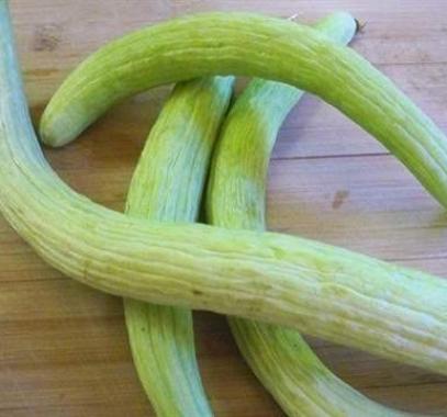 تفسير رؤية الفقوس في المنام