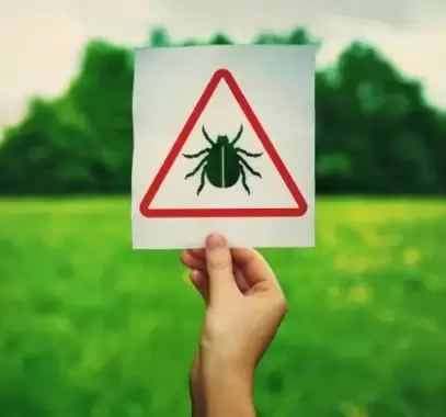 ما هو فيروس أوز القاتل؟