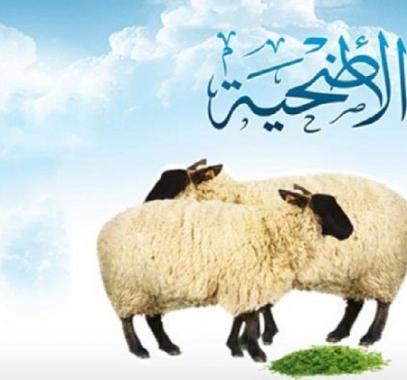 الاضحية