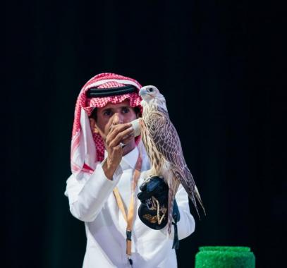 أغلى صقر حر في الشرق الأوسط يباع بنصف مليون ريال في السعودية