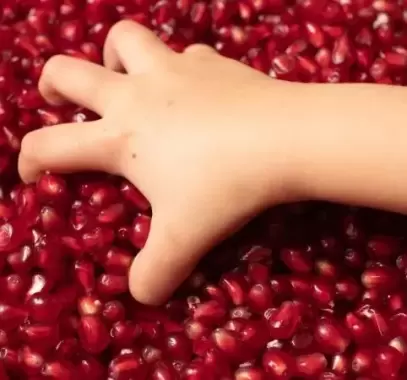 فرط الرمان في المنام للعزباء