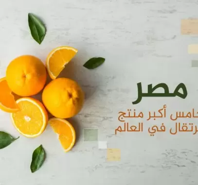 مصر-copy-1718804048.webp