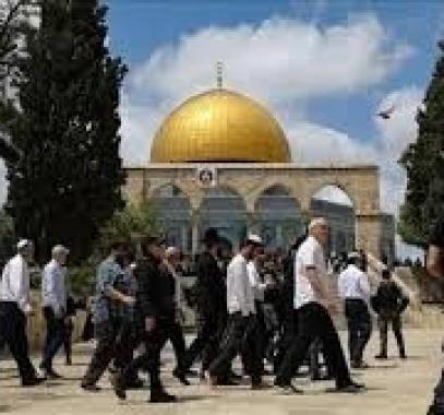 تنزيل (13).jpeg