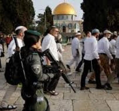 تنزيل (13).jpeg