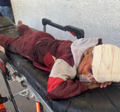 WafaImage (3).jfif-301d6ae3-7666-4428-8e4e-ea896785fb21.jpg-54136d78-9e75-444a-9a19-98d865ae4846.jpg