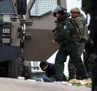 تنزيل (20).jpeg